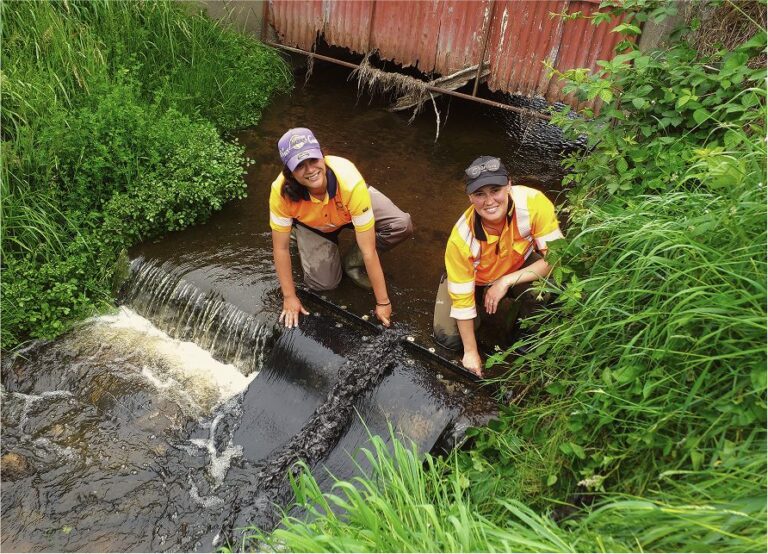 Maitai River restoration