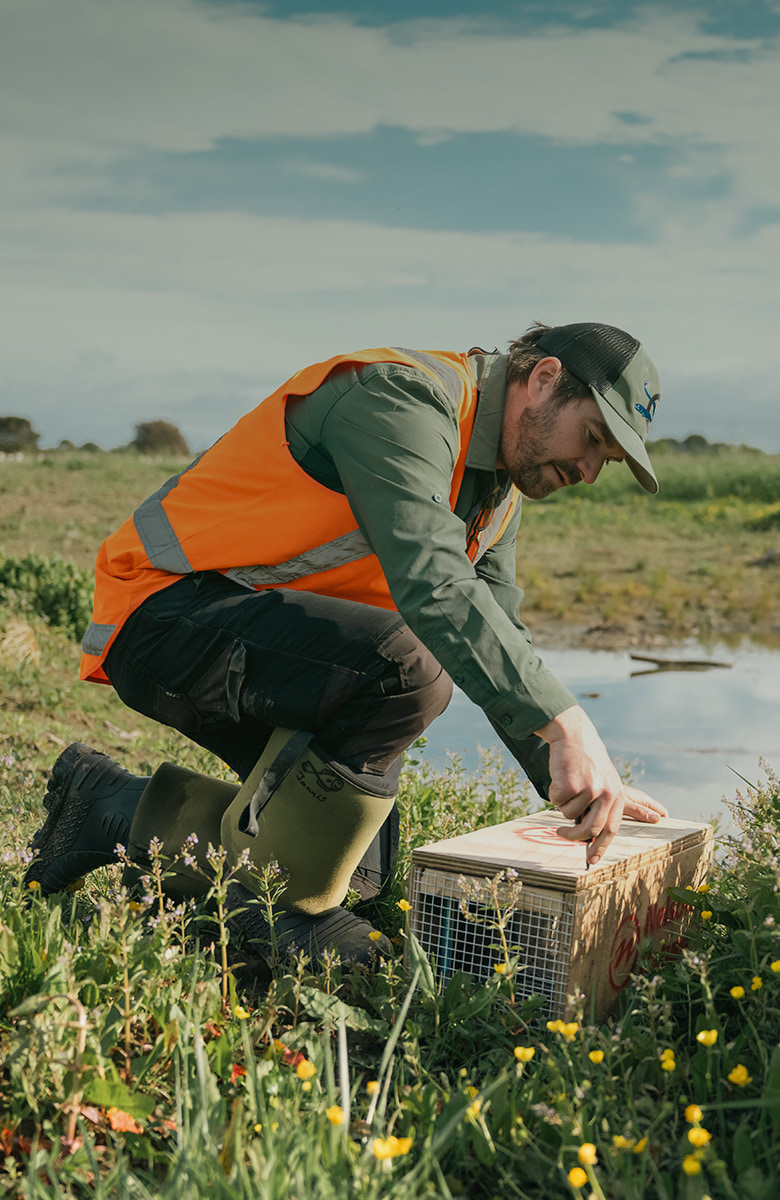 Strategic Partnerships