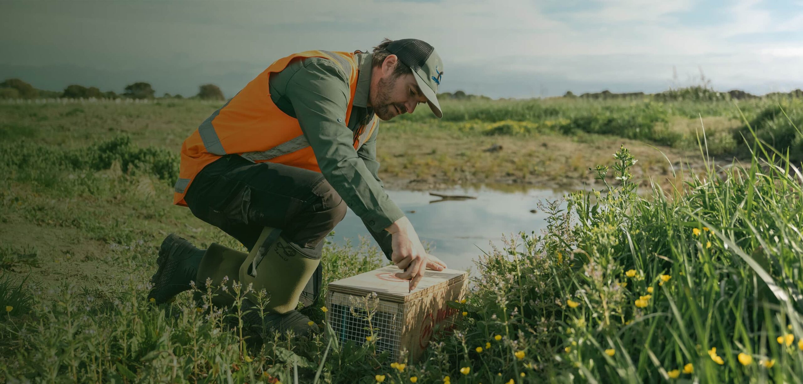 Strategic Partnerships