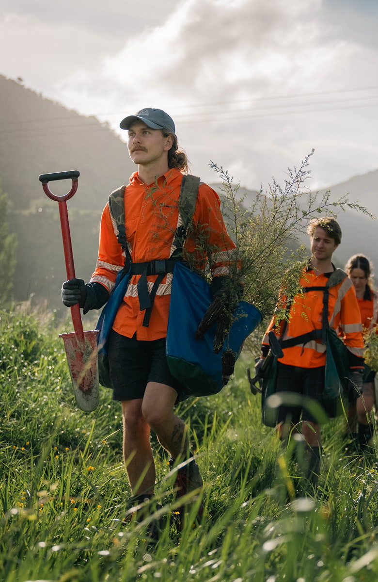A Kūmānu field worker carrying a spade and native seedlings walks through tall grass, with other team members following behind.