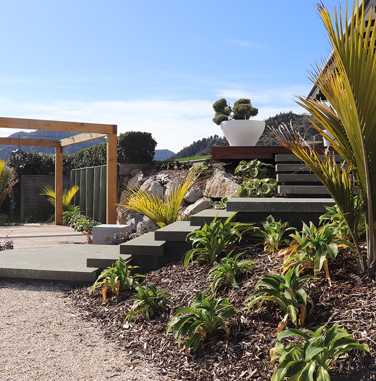 A landscaped outdoor space with stone steps, young plants, a pergola, and a sculptural potted tree, with hills in the background