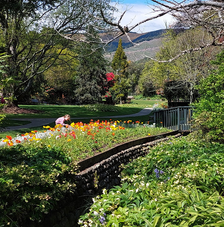 A vibrant public garden featuring colourful flower beds, pathways, mature trees, and a small bridge, with hills visible in the background.