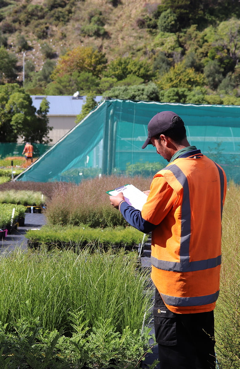 A Kūmānu team member wearing a high-visibility vest reviews notes on a clipboard while standing among rows of young plants in an outdoor nursery.