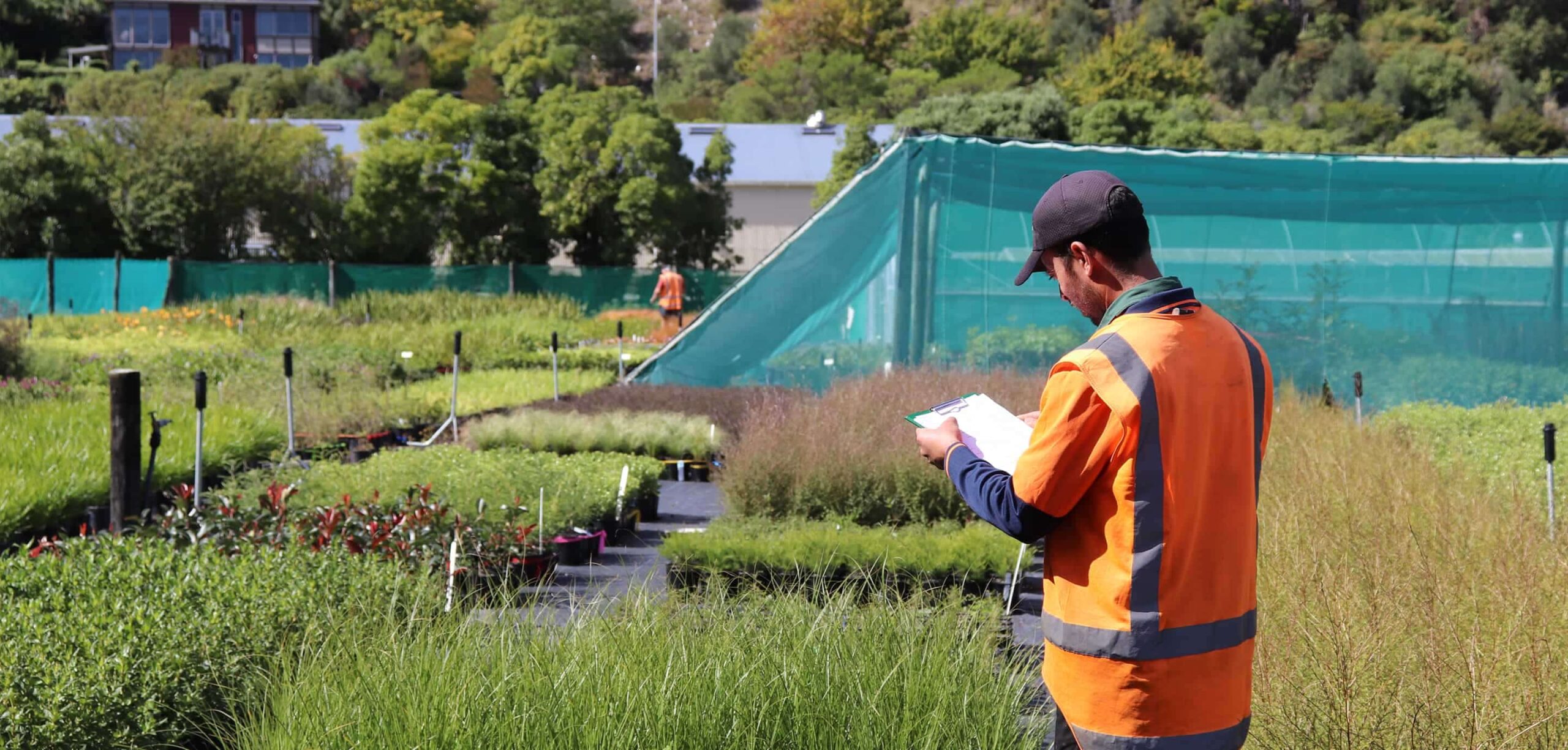 A Kūmānu team member wearing a high-visibility vest reviews notes on a clipboard while standing among rows of young plants in an outdoor nursery.