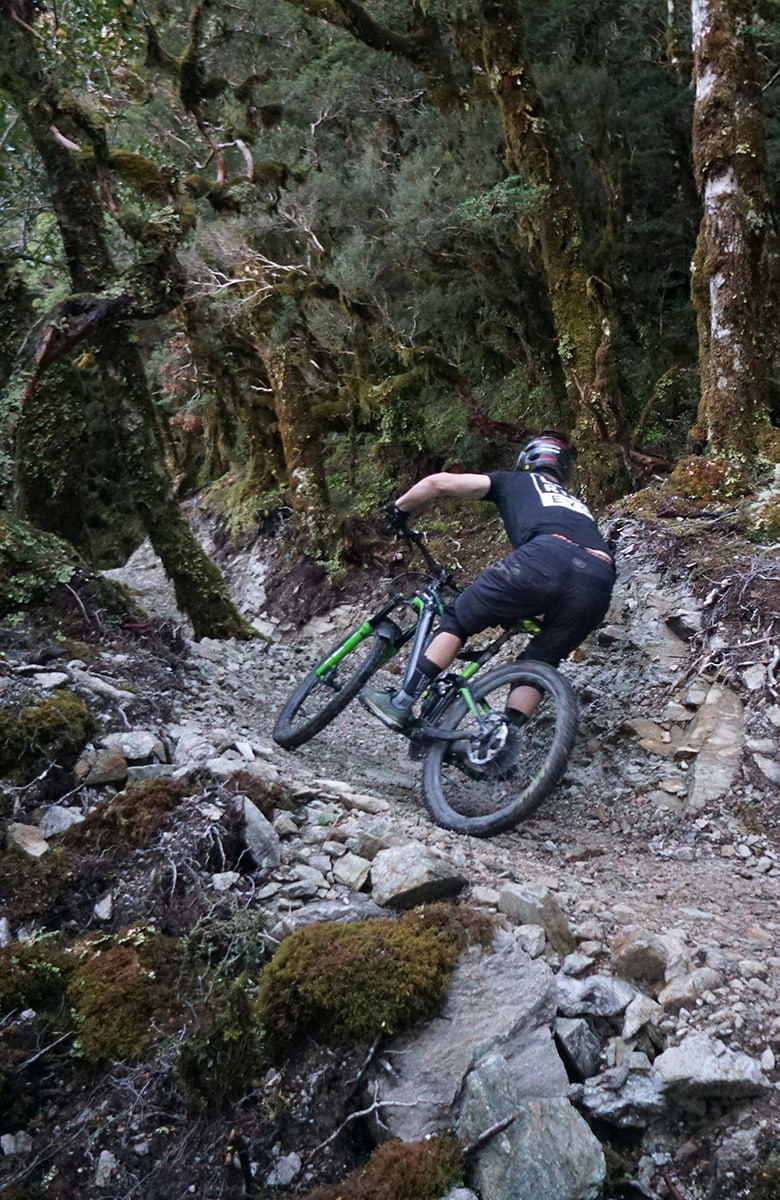 A mountain biker rides down a rocky, narrow forest trail surrounded by dense moss-covered trees.