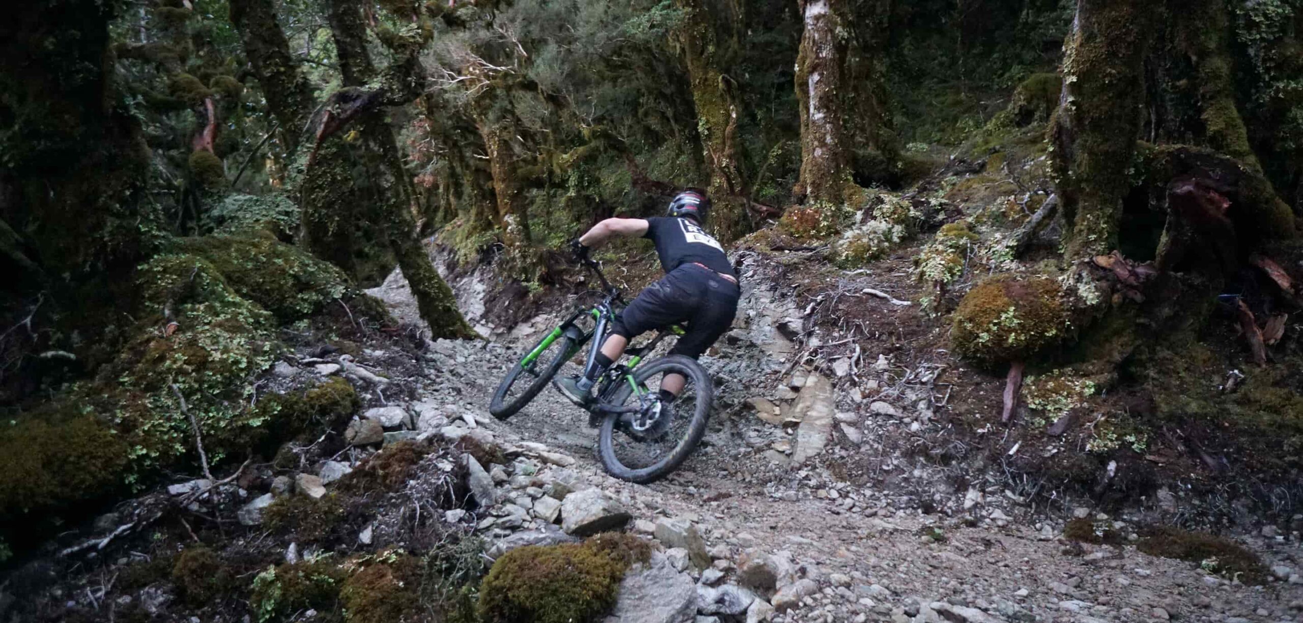 A mountain biker rides down a rocky, narrow forest trail surrounded by dense moss-covered trees.