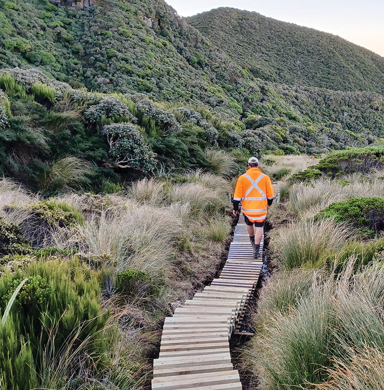 A Kūmānu team member in high-visibility gear walks along a newly built wooden boardwalk through native alpine vegetation.
