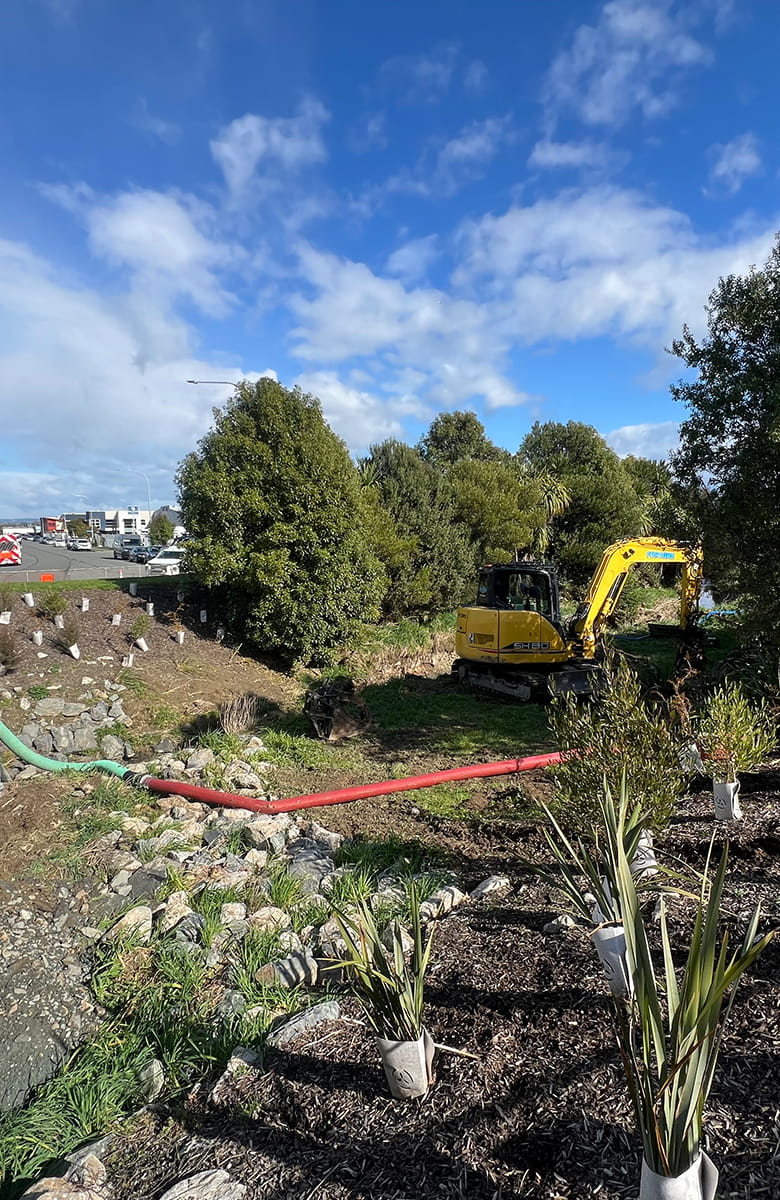 A yellow excavator operating beside a vegetated stream bank, surrounded by native plants in protective sleeves and hoses running across the ground.