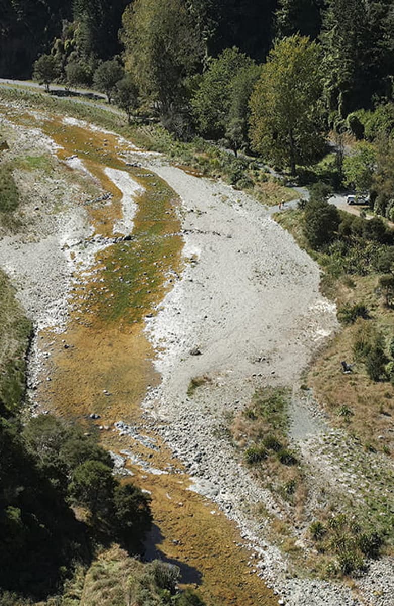 Portrait view of a winding stream through grassed and wooded areas