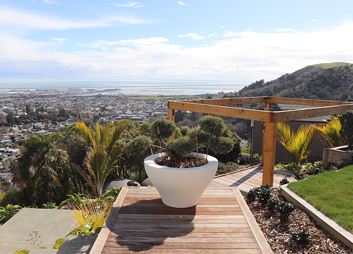 Concrete steps and timber pergola integrated into landscaped hillside garden at Maitai Residence
