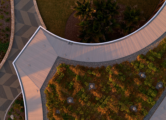 Aerial view of a curved timber walkway beside planted garden beds