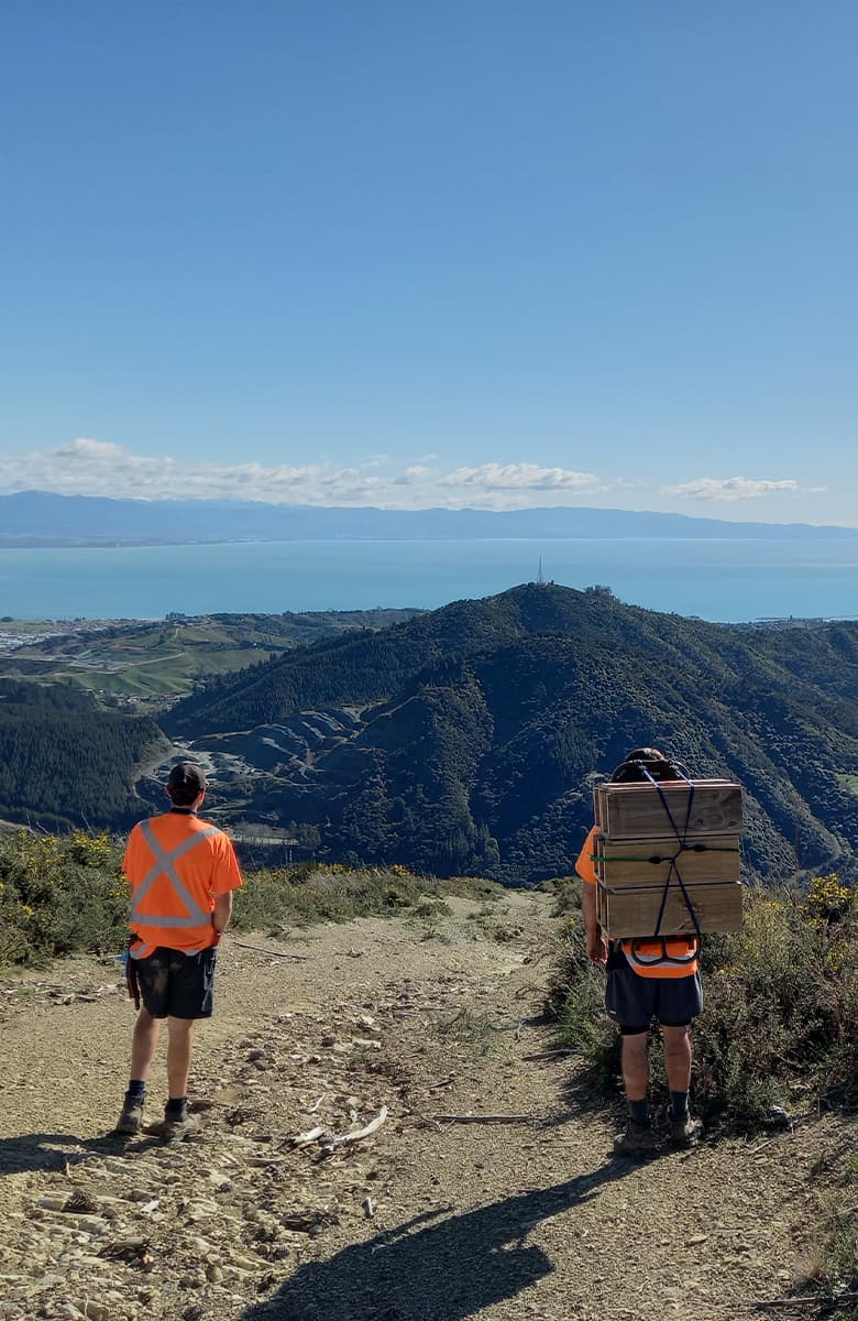 Portrait-oriented view of two field workers on a ridgeline, one carrying stacked wooden trap boxes, with hills and coastline in the distance
