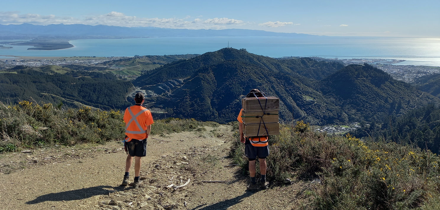 Two field workers in high-visibility clothing standing on a ridgeline, one carrying wooden trap boxes, overlooking hills and coastline