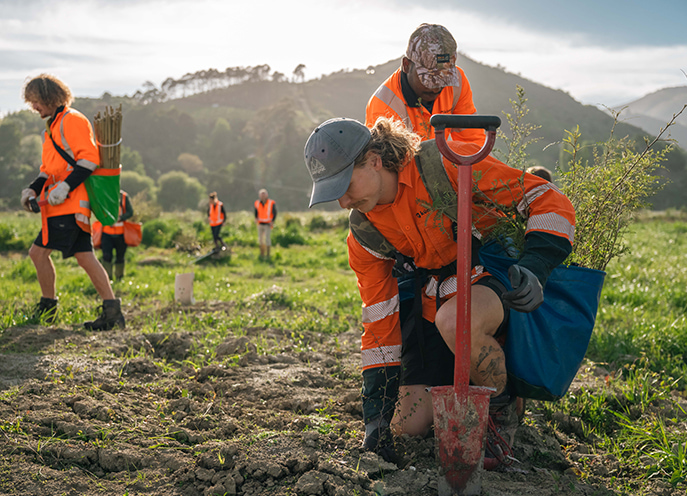 People wearing high-visibility clothing planting native seedlings in an open field during a restoration planting day