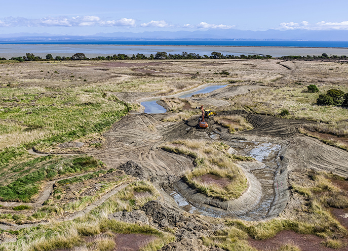 High aerial view of newly formed wetland channels and earthworks near a coastal landscape
