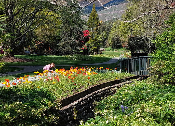 Person in a pink top beside a bright bed of poppies next to a stone-lined stream and bridge at Washbourn Gardens