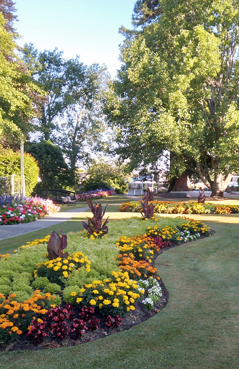 Curved flower beds filled with colourful annuals and mature trees in Washbourn Gardens in Richmond on a sunny day